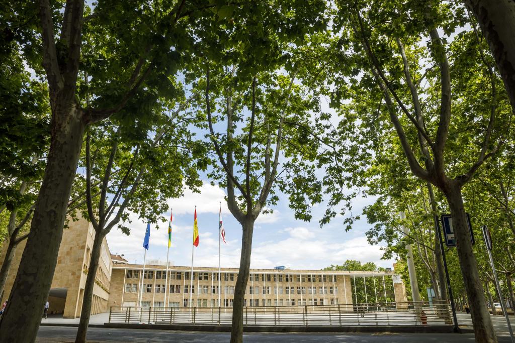 Imagen El Ayuntamiento pide disculpas a los aficionados que no han podido seguir la final del Mundial en la Plaza de la Diversidad