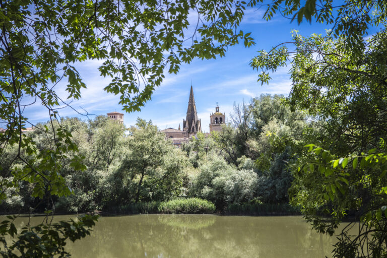 Orilla del Ebro a su paso por Logroño