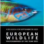 European Wildlife Photographer of the Year 2023 (4 jul al 3 sept)